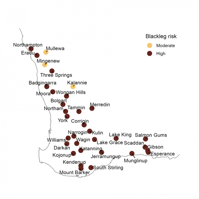 Map showing the relative current risk of spores coinciding with the seedling stage based upon Blackleg Sporacle Model outputs for various locations in Western Australia, 6th June 2023. Map showing the relative current risk of spores coinciding with the seedling stage based upon Blackleg Sporacle Model outputs for various locations in Western Australia, 6th June 2023.