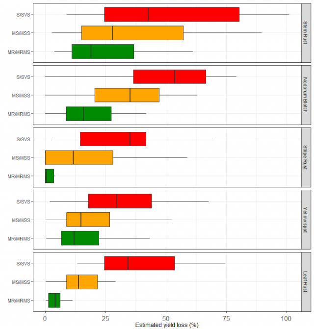 Figure 1. Box plots of estimated yield loss percentage caused by stem rust, nodorum blotch, yellow spot and leaf rust in WA and for stripe rust (NSW data). The observed range of the data is depicted within the black lines, 50% of all observations fall wit Figure 1. Box plots of estimated yield loss percentage caused by stem rust, nodorum blotch, yellow spot and leaf rust in WA and for stripe rust (NSW data). The observed range of the data is depicted within the black lines, 50% of all observations fall wit