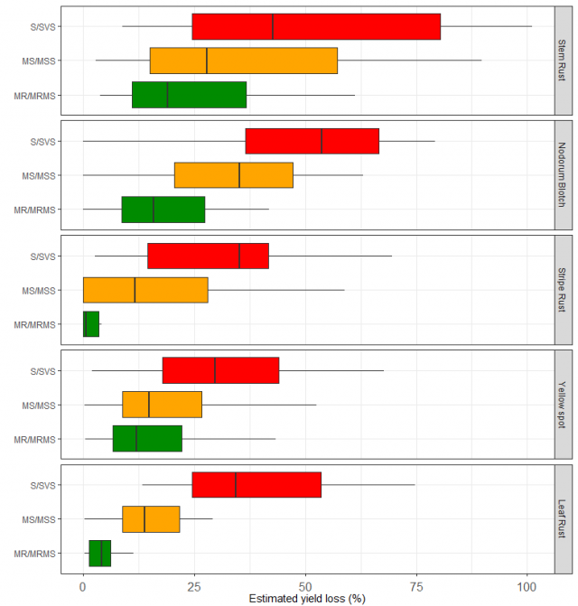 Figure 1. Box plots of estimated yield loss percentage caused by stem rust, nodorum blotch, yellow spot and leaf rust in WA and for stripe rust (NSW data). The observed range of the data is depicted within the black lines, 50% of all observations fall wit