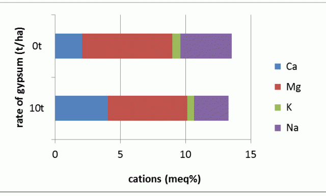 The influence of adding gypsum on this soil has persisted for 20 years, and cropping is still profitable Bar chart showing the proportions of calcium, magnesium, potassium and sodium in soils that had no gypsum and soil that had 10t/ha of gypsum 20 years previously