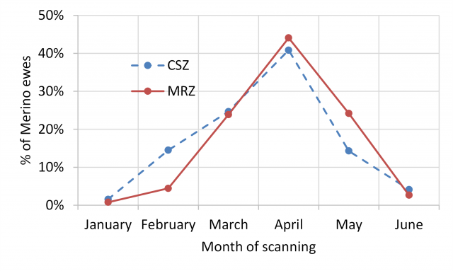 Figure 7 Month of scanning for Merino ewes in the Cereal Sheep Zone (CSZ) and Medium Rainfall Zone (MRZ) in 2022 Figure 7 Month of scanning for Merino ewes in the Cereal Sheep Zone (CSZ) and Medium Rainfall Zone (MRZ) in 2022