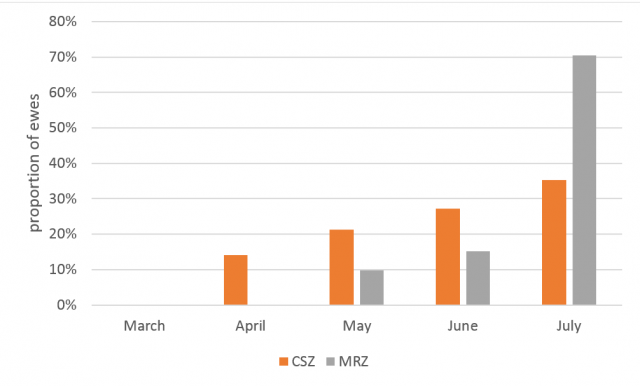 Time of lambing for Merino to Merino matings (results where there were less than 4 flocks were excluded).