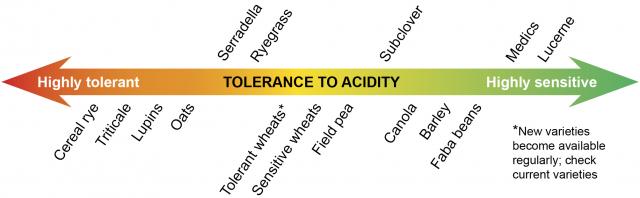 Showing the relative tolerance of crop and pasture species to soil acidity and aluminium toxicity.