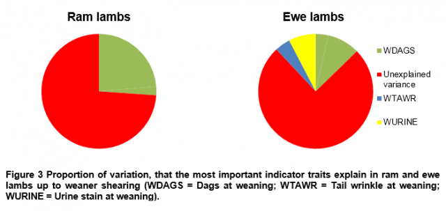 Figure 3 Proportion of variation, that the most important indicator traits explain in ram and ewe lambs up to weaner shearing (WDAGS = Dags at weaning; WTAWR = Tail wrinkle at weaning; WURINE = Urine stain at weaning).