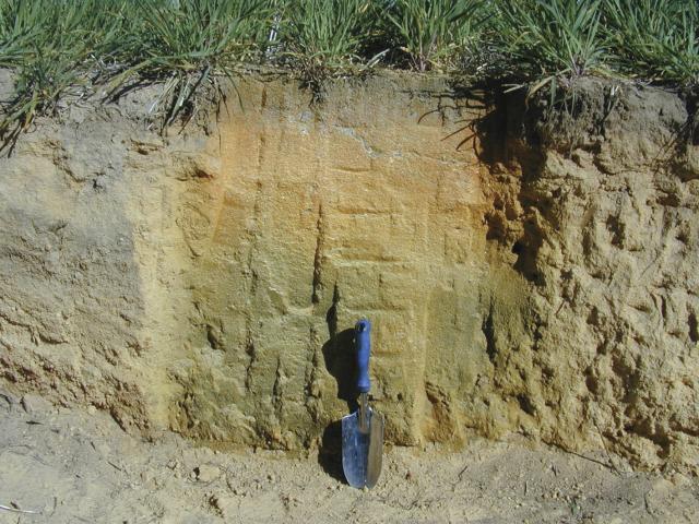 pH changes in a soil profile illustrated by universal pH indicator