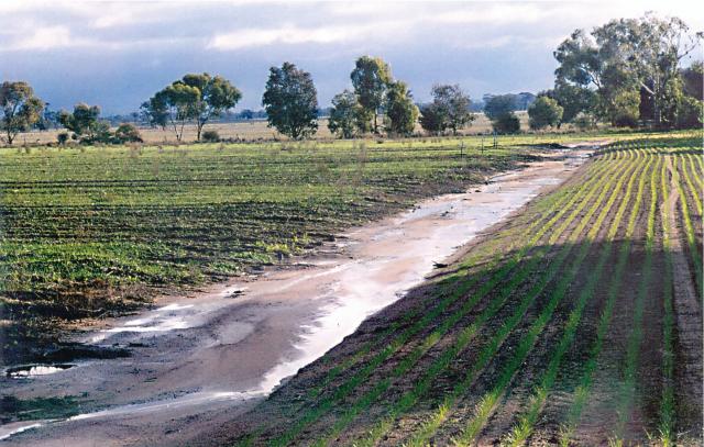Photograph of a catch drain