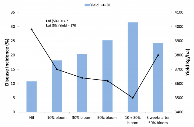 Main effect of fungicide timing averaged over fungicides on disease incidence (percent plants infected) of Sclerotinia and grain yield (t/ha) of canola. Lsd (5%) for disease incidence = 7 and for yield = 0.170. Values above bars represent net return/ha ($