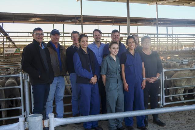 DPIRD field vets and salesyard manager at Katanning Saleyards in late May