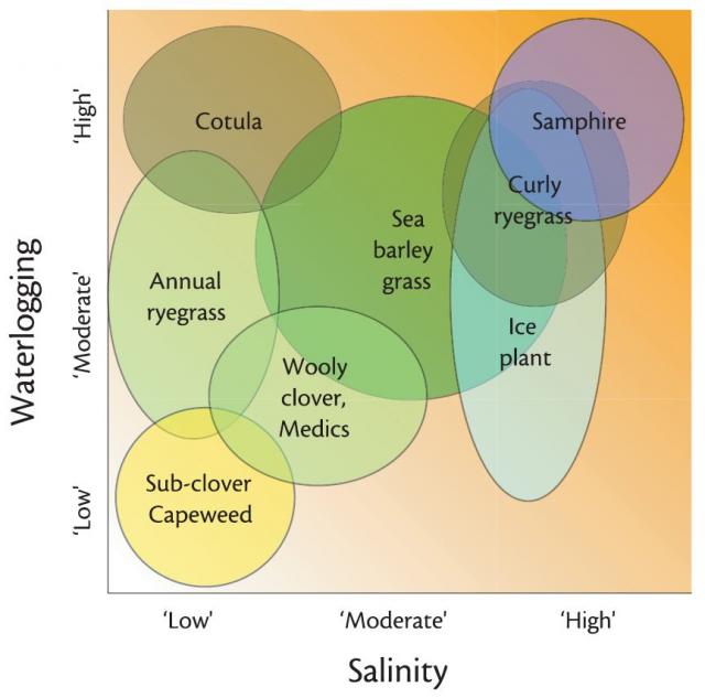 Graphic showing the salinity and waterlogging tolerance of plant indicator species