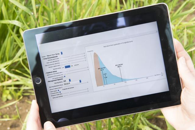 Ipad fungicide spray options