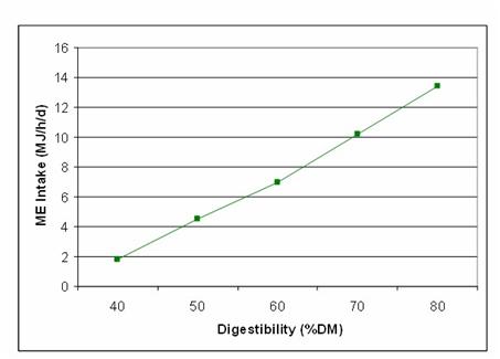 Energy intake for a 50kg dry ewe grazing a 1000 kg DM/ha FOO pasture varies from 2kg/day at 40% digestibility and 14MJ/day at 80% digestibility (Grazfeed®).