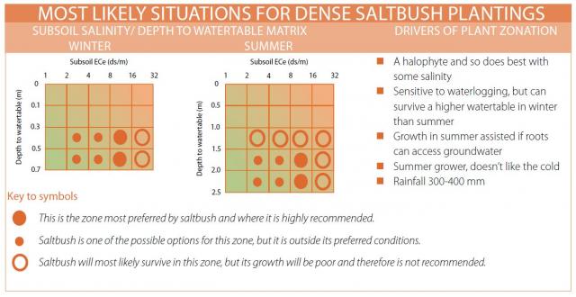 Graphic showing the most likely situation with salinity and watertable depth