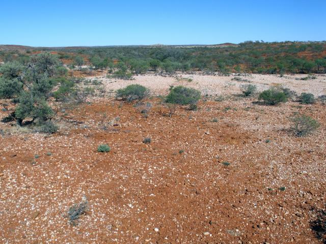 Click on image to see full size Photograph of a stony short grass forb community in fair condition