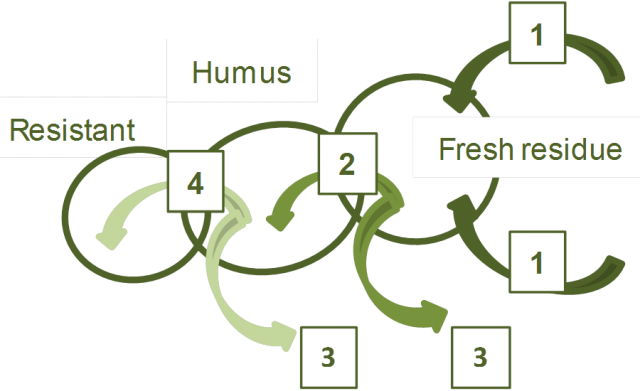 Drawing showing the prgression from fresh residue to resistant soil organic matter