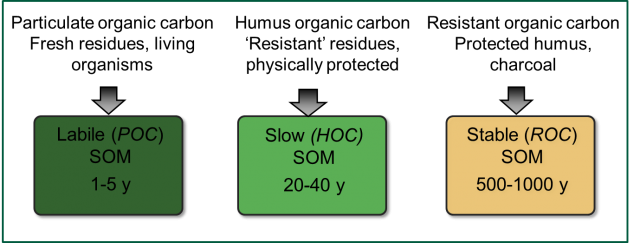 Different fractions of soil organic matter break down at different rates