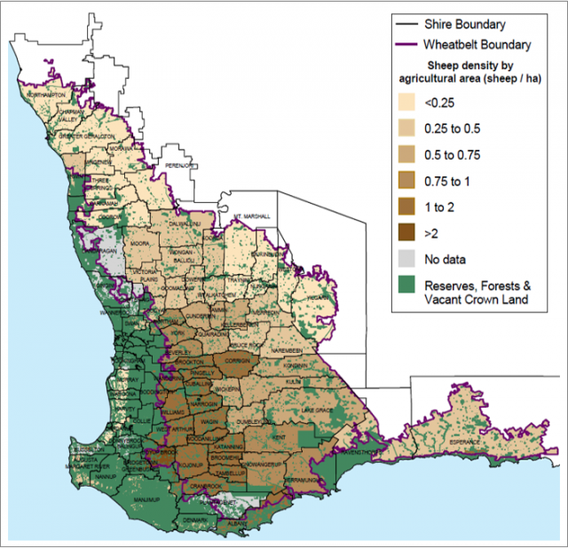 Sheep density in the SW WA