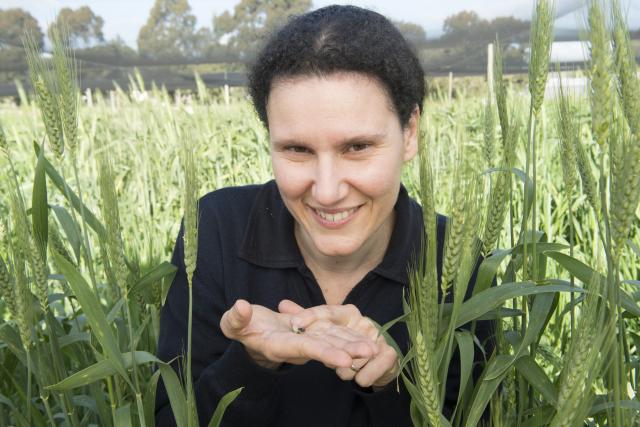 DPIRD entomologist Svetlana Micic with a snail (Photo courtesy: Svetlana Micic).
