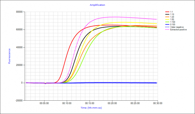 Figure 9. Reverse transcription loop-mediated isothermal amplification (LAMP) of TuYV from serial dilutions of one viruliferous GPA in groups of non-viruliferous GPA. Figure 9. Reverse transcription loop-mediated isothermal amplification (LAMP) of TuYV from serial dilutions of one viruliferous GPA in groups of non-viruliferous GPA.