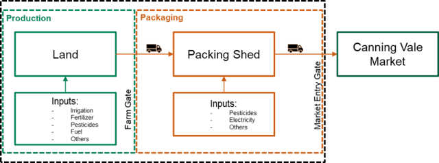 Figure 1: Avocado LCA system boundaries.