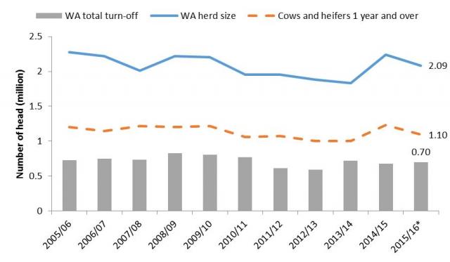 Time series illustrating the changes in the size of the WA beef cattle herd between 2005/06 and 2015/16 along with the number of cows and heifers in the herd and the total turn-off.  In 2005/06 the total beef herd was 2.28 million. It fell to 2.01 million