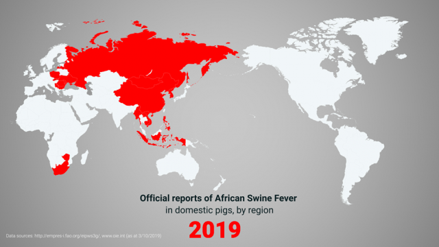 Map showing outbreaks of ASF in 2019. Outbreaks are shown in Asia, southern Africa, Eastern Europe and Russia.