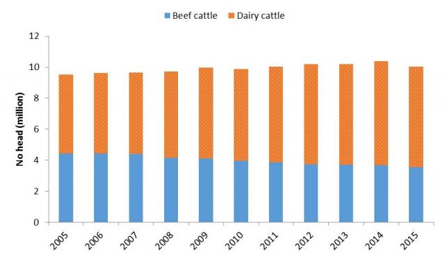 Time series illustrating the total New Zealand cattle population between 2005 and 2015. The dairy and beef cattle split is also illustrated. The proprtion of dairy cattle in the New Zealand herd has been steadily increaing over time. In 2005 there were 4.