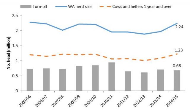 Closing number of beef cattle, cows and heifers and total turn-off in WA Time series illustrating the changes in the size of the WA beef cattle herd between 2005/06 and 2014/15 along with the number of cows and heifers in the flock and the total turn-off. In 2005/06 the total beef herd was 2.28 million. It fell to 2.01 millio