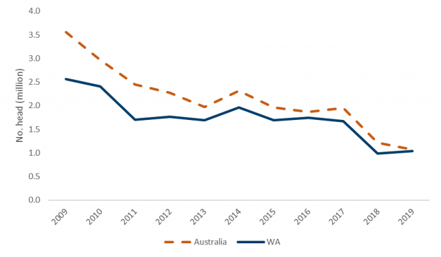 The number of sheep exported from WA and Australia has declined steadily over the last decade. WA live sheep exports reached 2.6 million in 2009 but fell to 1.04 million in 2019. Australian live exports reached 3.6 million in 2009 but only 1.07 million in