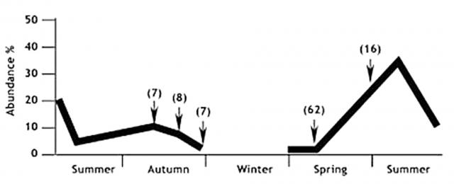 The majority of blowflies are seen over spring and summer (16 flies trapped in summer compared to 7 at the end of autumn).