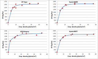 Grain yields of open-pollinated and hybrid canola varieties from RR and TT herbicide resistance groups at different crop densities at Pingrup in 2013.