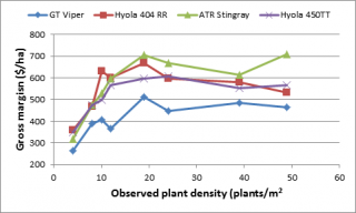 Gross margins of open-pollinated and hybrid canola varieties in RR and TT herbicide groups as impacted by plant density at Pingrup in 2013.