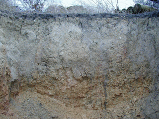 Photograph of a dispersive soil profile in a pit showing the mottled zone below the dense grey clay top layer.