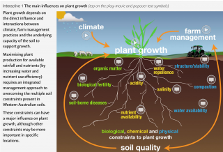 Infographic explaining biological, chemical and physical constraints to plant growth