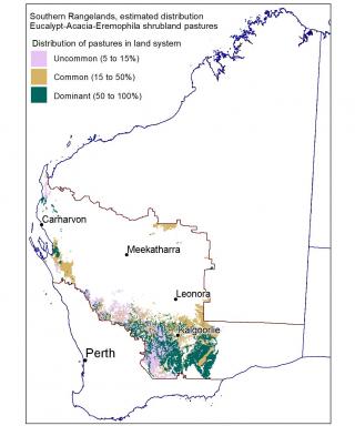 Line drawing map of the estimated distribution of eucalypt-acacia-eremophila shrubland plain pastures