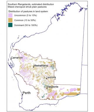 Line drawing map of the estimated distribution of mixed chenopod shrub plain pastures