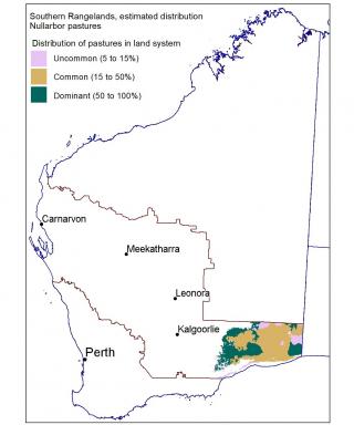 Line drawing map of the estimated distribution of Nullarbor pastures