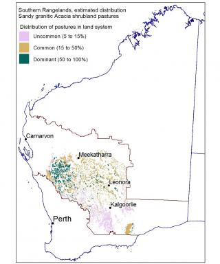 Click on image to see full size Map of estimated distribution of sandy granitic acacia shrub community pastures in the southern rangelands