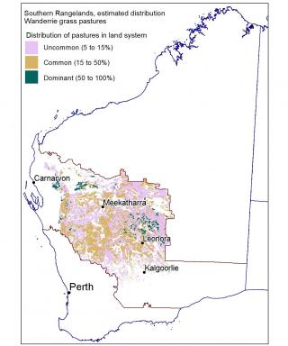 Line drawing map of the estimated distribution of Wanderrie grass pastures
