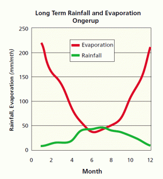 Line drawing of typical seasonal distribution of rainfall and potential evaporation at Ongerup