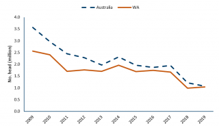 Chart illustrating the number of live sheep exports from Australia and WA between 2009 and 2019 Chart illustrating the number of live sheep exports from Australia and WA between 2009 and 2019