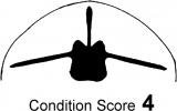 Condition score 4