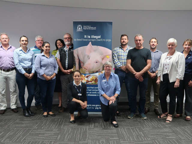 DPIRD and WA pork industry representatives at the African swine fever preparedness workshop in April 2019 DPIRD and WA pork industry representatives at the African swine fever preparedness workshop in April 2019