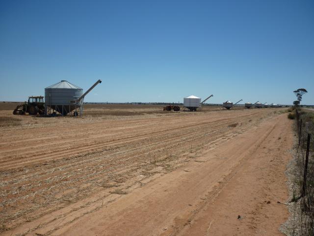 Paddock with stubble and field bins