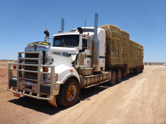 Making hay – first load of hay marks milestone for irrigation project in eastern Pilbara Hay bales loaded onto truck after the first harvest at the Woodie Woodie site.