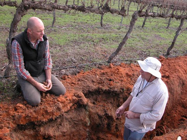DPIRD Scientist Peter Tille (right) discussing soils with vineyard manager Lee Haselgrove.