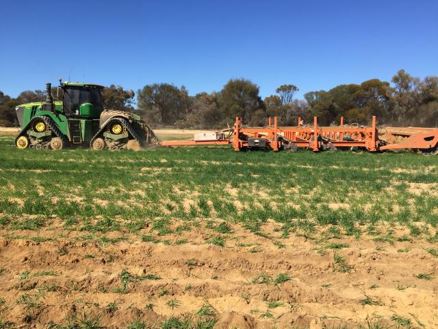Paddock with tractor
