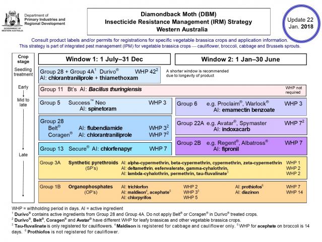 The WA two-window strategy as described in the text.