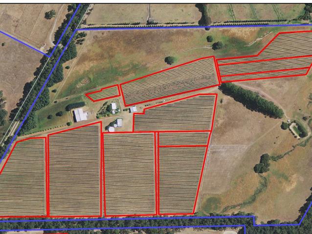 Aerial map of a wine grape property