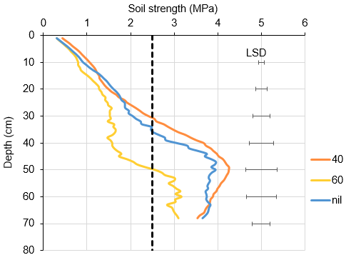 Graph showing that reduction in soil strength when ripped to 60cm was sustained in the second year after ripping compared to ripping to 40cm.