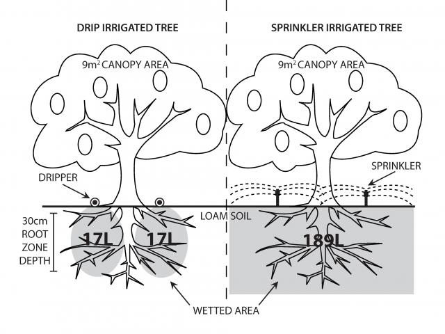 Example of water holding capacity under different irrigation systems